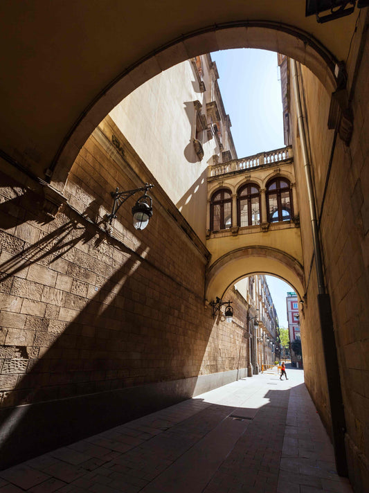The Sardinha and Coimbra: Portugal's Coastal and Academic Soul